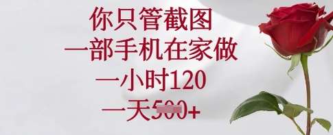 你只管截图，一部手机在家做，一小时120.一天5张【揭秘】|无忧资源社