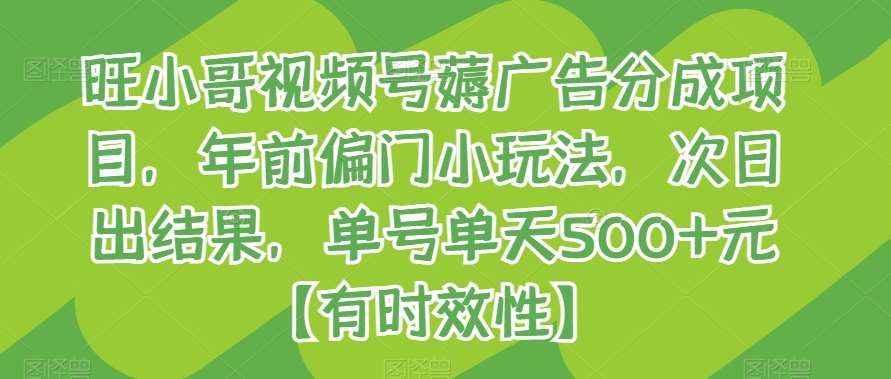 旺小哥视频号薅广告分成项目，年前偏门小玩法，次日出结果，单号单天500+元【有时效性】|无忧资源社