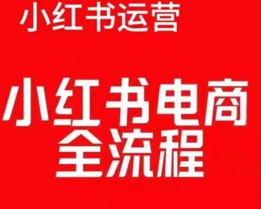 红薯电商实操课，小红书电商全流程|无忧资源社