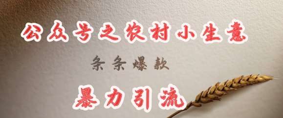 deepseek写农村小项目，条条爆款，暴力引流|无忧资源社
