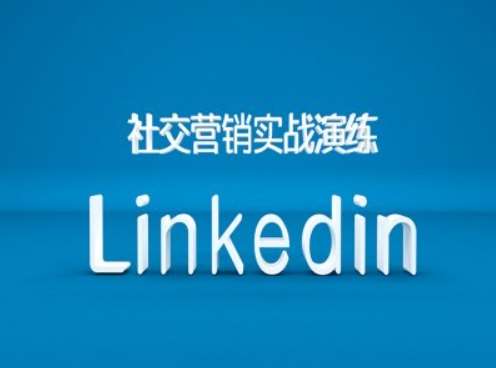 社交营销实战演练之Linkedin营销课程，B2B跨境外贸的新出路|无忧资源社