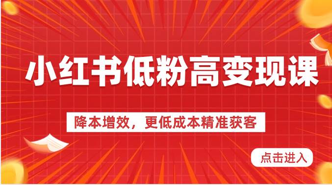 小红书低粉高变现课-降本增效，更低成本精准获客，小红书必爆的流量密码|无忧资源社