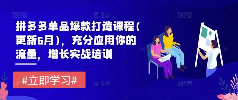 拼多多单品爆款打造课程(更新6月)，充分应用你的流量，增长实战培训|无忧资源社