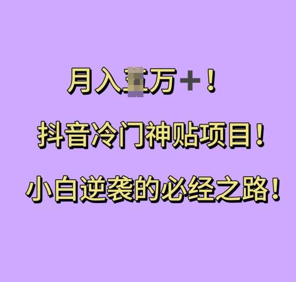 抖音冷门神贴项目，小白逆袭的必经之路，月入过W【揭秘】|无忧资源社