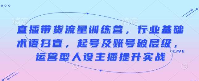 直播带货流量训练营，行业基础术语扫盲，起号及账号破层级，运营型人设主播提升实战|无忧资源社