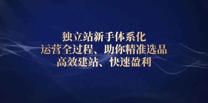 （13914期）独立站新手体系化 运营全过程，助你精准选品、高效建站、快速盈利|无忧资源社