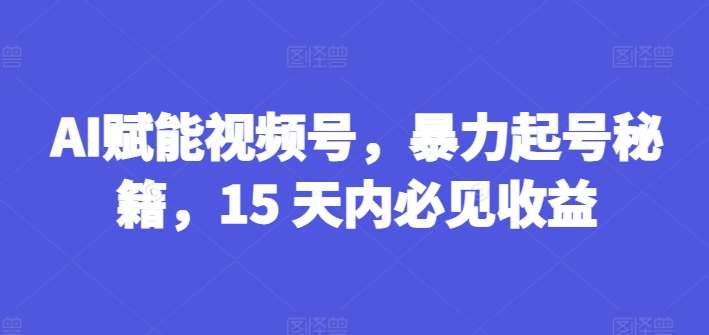 AI赋能视频号，暴力起号秘籍，15 天内必见收益【揭秘】|无忧资源社
