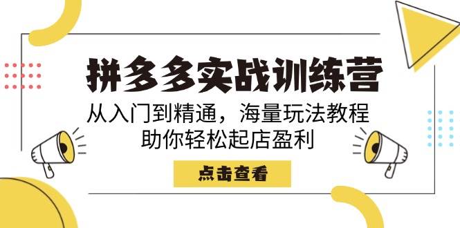 （14392期）拼多多实战训练营，从入门到精通，海量玩法教程，助你轻松起店盈利|无忧资源社