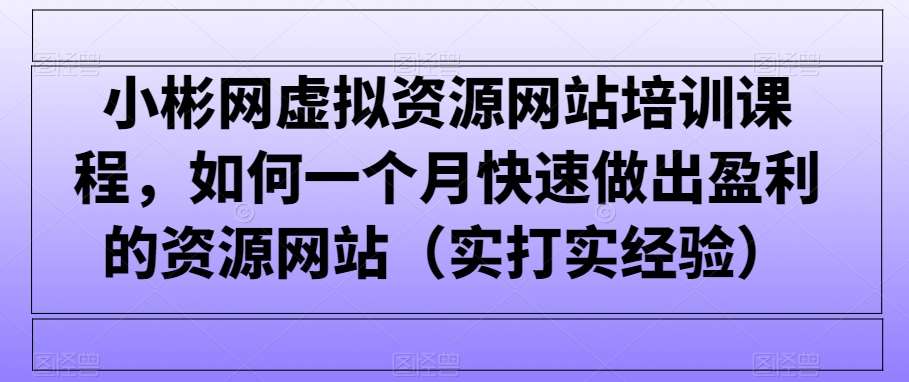 小彬网虚拟资源网站培训课程，如何一个月快速做出盈利的资源网站（实打实经验）|无忧资源社