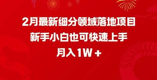 2月最新细分领域落地项目，新手小白也可快速上手，月入1W|无忧资源社