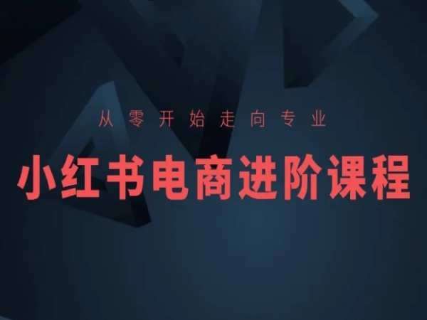 从零开始走向专业，小红书电商进阶课程|无忧资源社