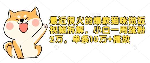 最近很火的爆款猫咪做饭视频拆解，小白一周涨粉2万，单条10万+播放(附保姆级教程)|无忧资源社