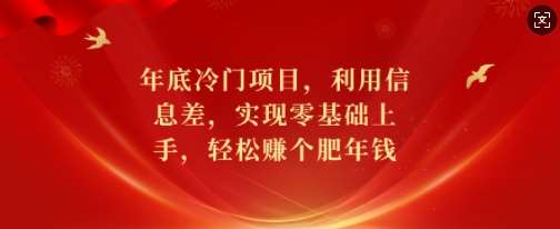 年底冷门项目，利用信息差，实现零基础上手，轻松赚个肥年钱【揭秘】|无忧资源社