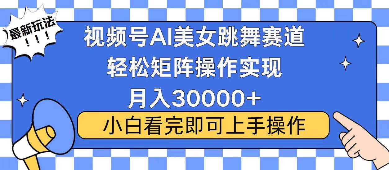 （13813期）视频号蓝海赛道玩法，当天起号，拉爆流量收益，小白也能轻松月入30000+|无忧资源社