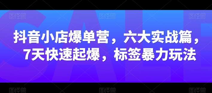 抖音小店爆单营，六大实战篇，7天快速起爆，标签暴力玩法|无忧资源社