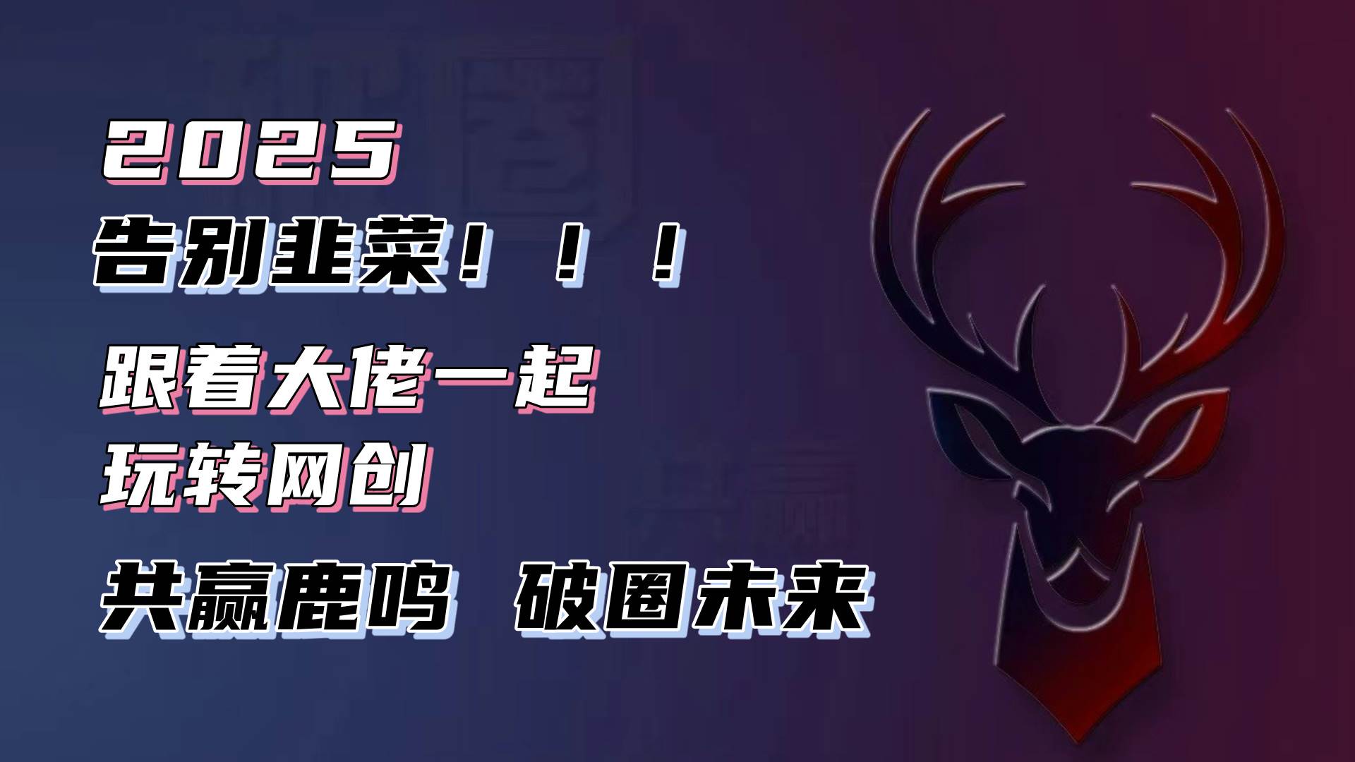 （13896期）告别韭菜！2025知识付费风口项目，小白也能闭眼操作！|无忧资源社