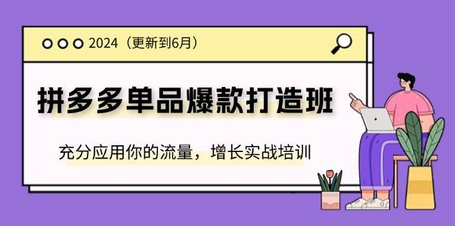（11556期）2024拼多多-单品爆款打造班(更新6月)，充分应用你的流量，增长实战培训|无忧资源社