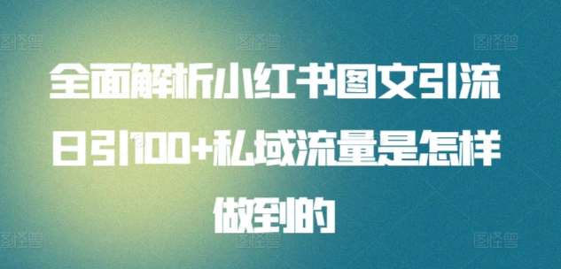 全面解析小红书图文引流日引100+私域流量是怎样做到的【揭秘】|无忧资源社