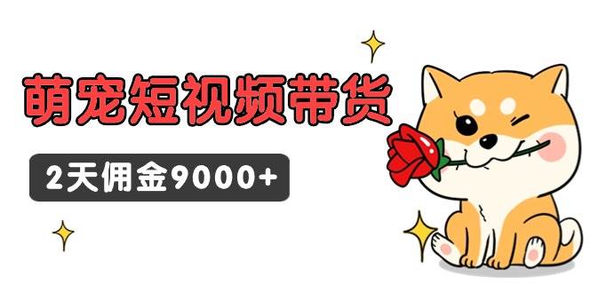 （9273期）东哲日记·萌宠短视频带货，2天佣金9000+|无忧资源社
