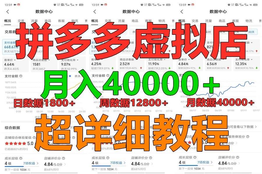 拼多多虚拟电商训练营月入40000+，全网最详细，你做你也行，暴利稳定长久|无忧资源社