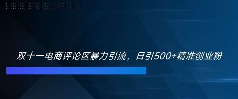双十一电商评论区暴力引流，日引500+精准创业粉【揭秘】|无忧资源社
