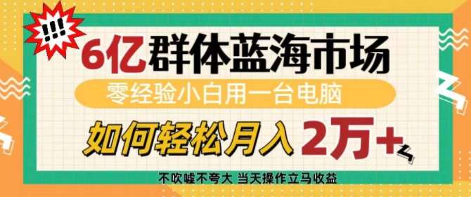 6亿群体蓝海市场，零经验小白用一台电脑，如何轻松月入过w【揭秘】|无忧资源社