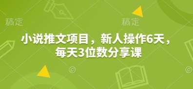 小说推文项目，新人操作6天，每天3位数分享课|无忧资源社