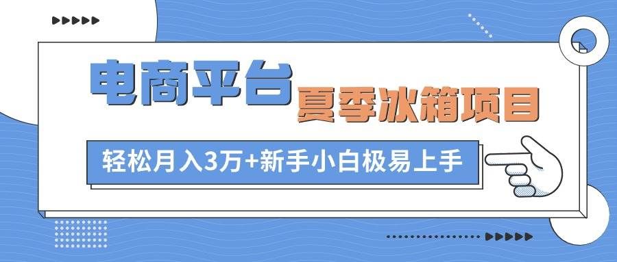 （10934期）电商平台夏季冰箱项目，轻松月入3万+，新手小白极易上手|无忧资源社