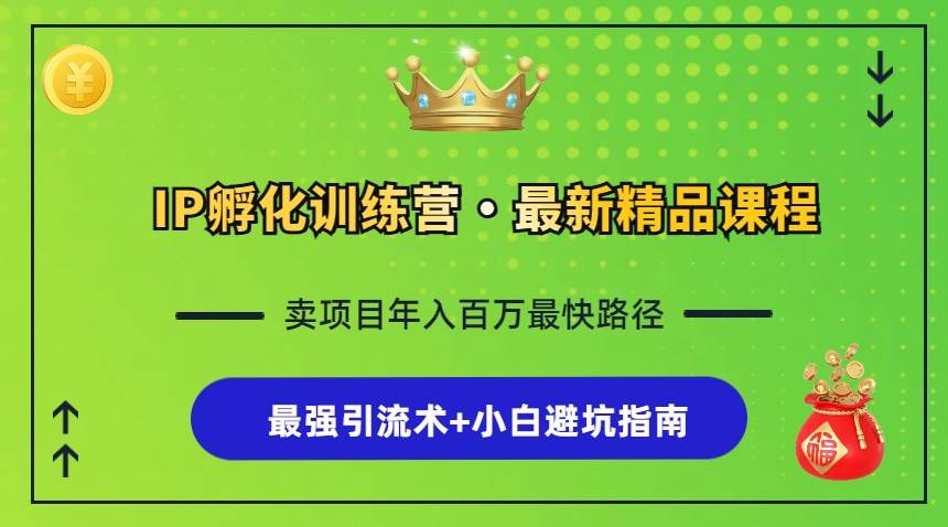 （13055期）IP孵化训练营，知识付费全流程+最强引流术+小白避坑指南|无忧资源社