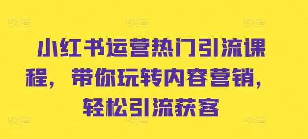 小红书运营热门引流课程，带你玩转内容营销，轻松引流获客|无忧资源社