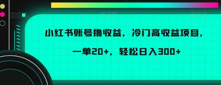小红书账号撸收益，冷门高收益项目，一单20+，轻松日入300+【揭秘】|无忧资源社