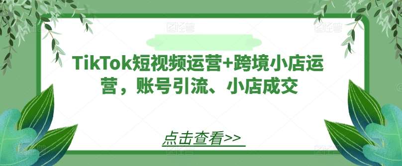 TikTok短视频运营+跨境小店运营，账号引流、小店成交|无忧资源社