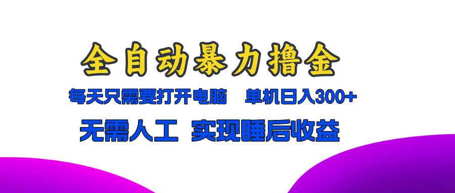 （13186期）全自动暴力撸金，只需要打开电脑，单机日入300+无需人工，实现睡后收益|无忧资源社
