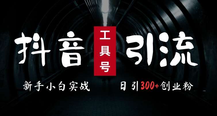 2024最新抖音工具号引流玩法，高效日引300+创业粉，当天变现5k，小白也可成为实战高手|无忧资源社