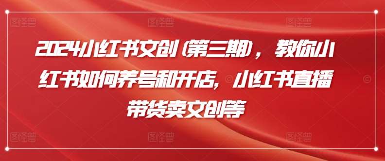 2024小红书文创(第三期)，教你小红书如何养号和开店，小红书直播带货卖文创等|无忧资源社