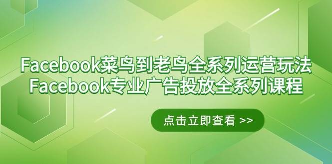 （9064期）Facebook-菜鸟到老鸟全系列运营玩法+Facebook-专业广告投放全系列课程|无忧资源社