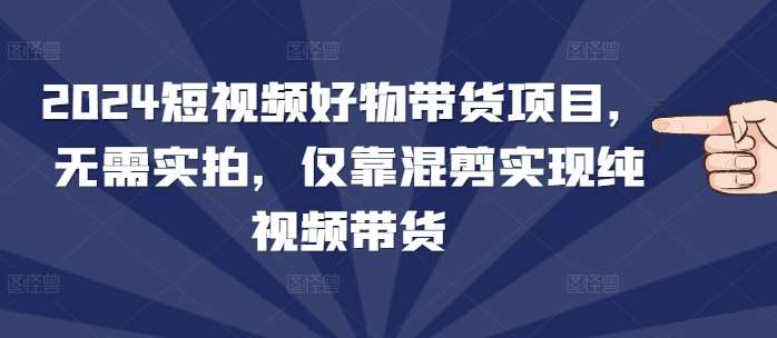 2024短视频好物带货项目，无需实拍，仅靠混剪实现纯视频带货|无忧资源社