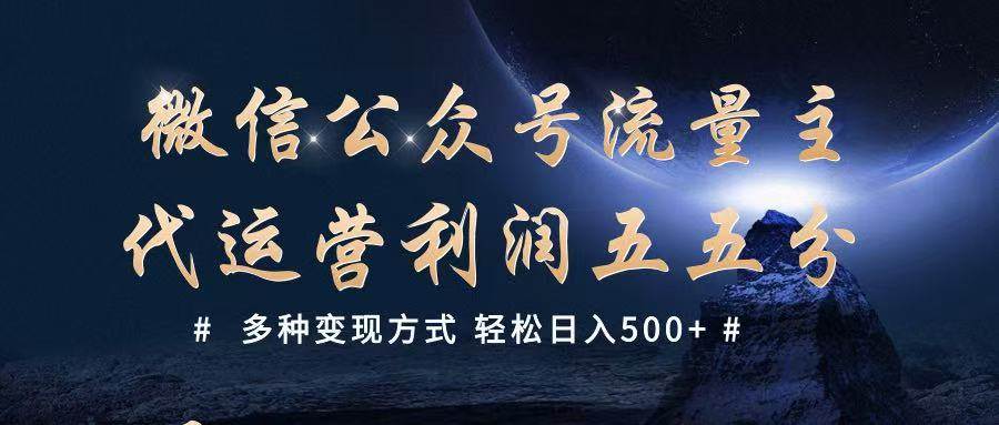 公众号流量主代运营  多种变现方式 轻松日入500+|无忧资源社