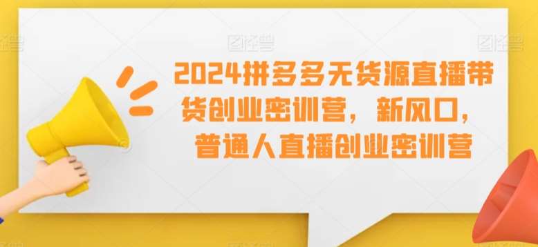 2024拼多多无货源直播带货创业密训营，新风口，普通人直播创业密训营|无忧资源社