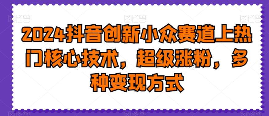 2024抖音创新小众赛道上热门核心技术，超级涨粉，多种变现方式【揭秘】|无忧资源社