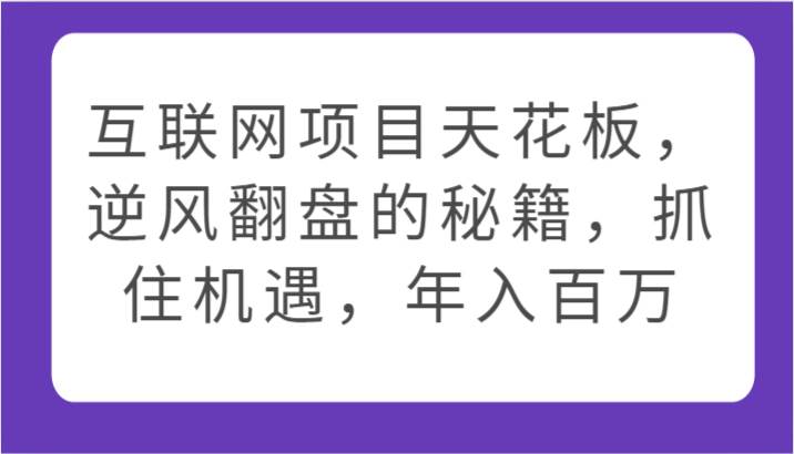 互联网项目天花板，逆风翻盘的秘籍，抓住机遇，年入百万|无忧资源社