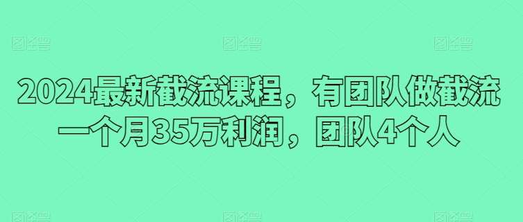 2024最新截流课程，有团队做截流一个月35万利润，团队4个人|无忧资源社