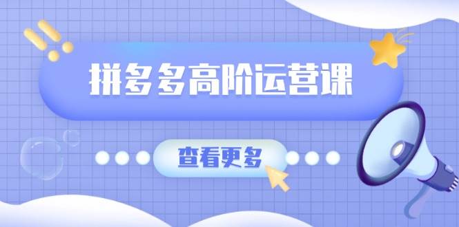 （14327期）拼多多高阶运营课：极致群爆款玩法，轻付费无尽复制，打造单品爆款之路|无忧资源社