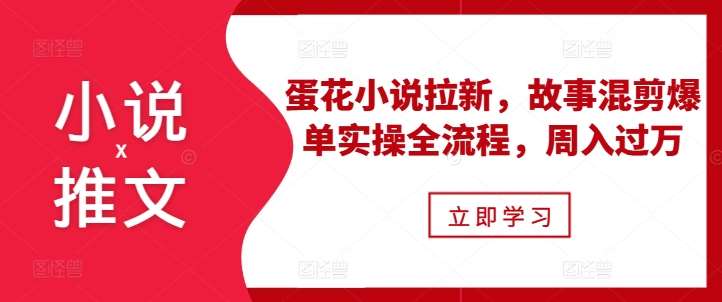 小说推文之蛋花小说拉新，故事混剪爆单实操全流程，周入过万|无忧资源社