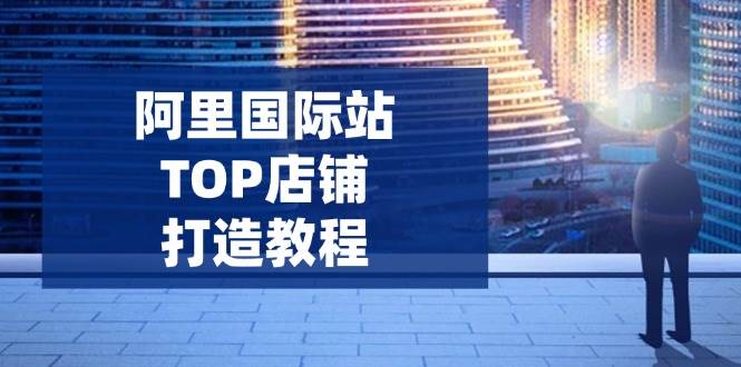 （14269期）阿里国际站TOP店铺打造教程：涵盖平台到高阶，解决运营难题，提升询盘|无忧资源社