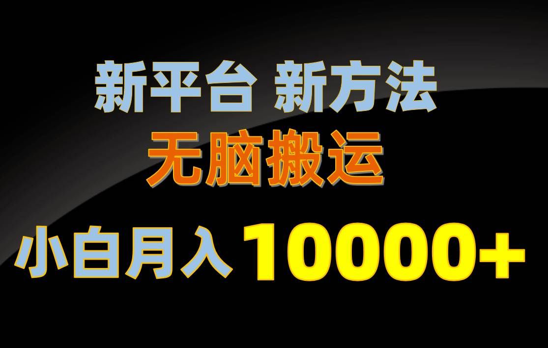 （10605期）新平台新方法，无脑搬运，月赚10000+，小白轻松上手不动脑|无忧资源社