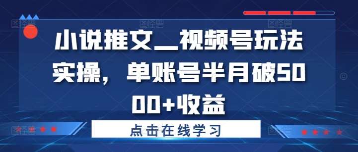 小说推文—视频号玩法实操，单账号半月破5000+收益|无忧资源社