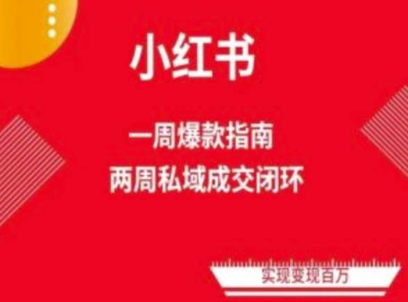 爆款小红书免费流量体系课程(两周变现)，小红书电商教程|无忧资源社