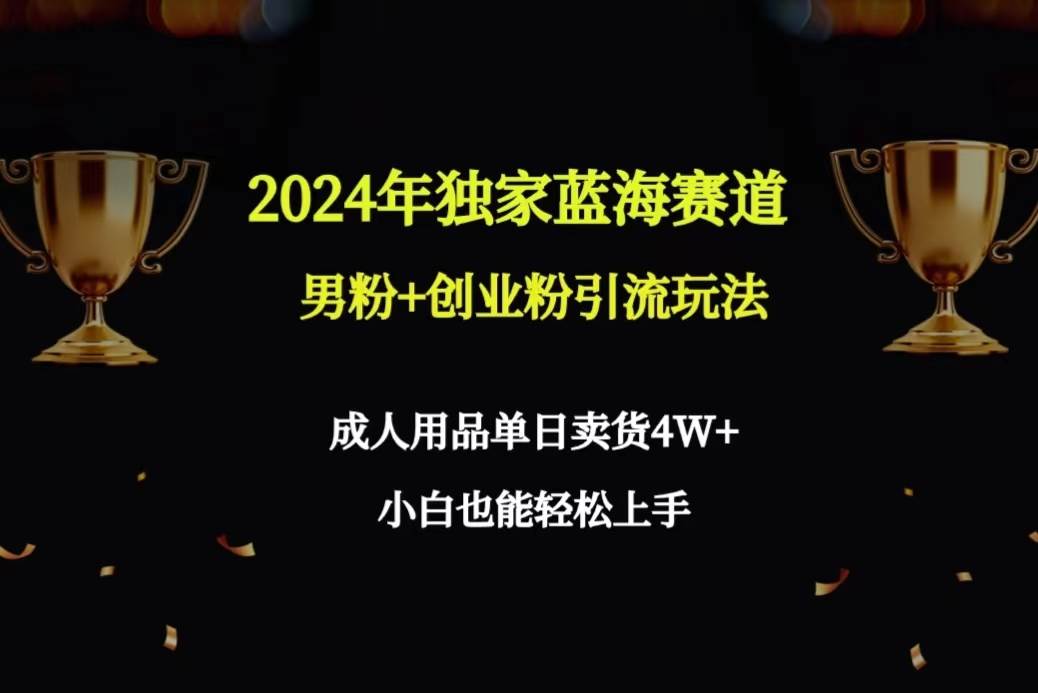 （9112期）2024年独家蓝海赛道男粉+创业粉引流玩法，成人用品单日卖货4W+保姆教程|无忧资源社