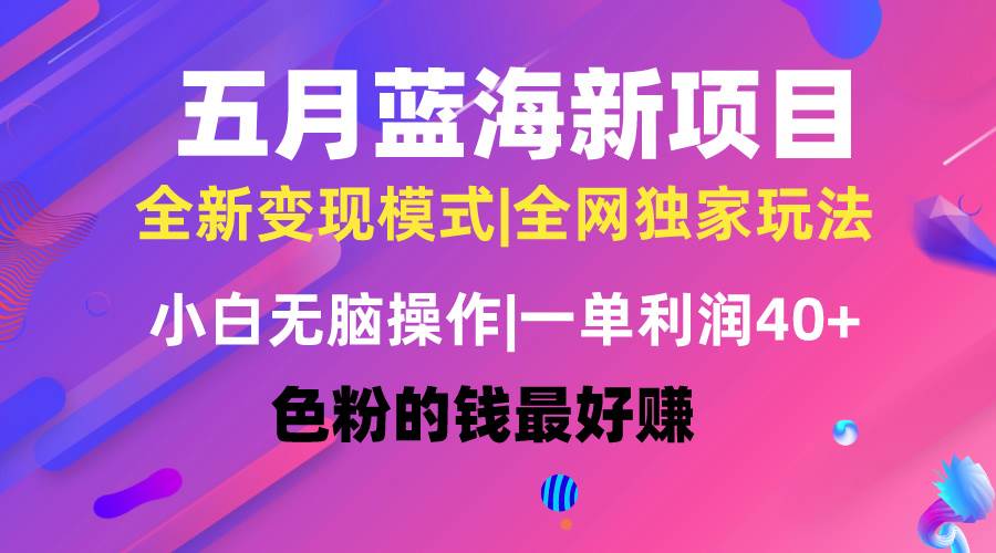 （10477期）五月蓝海项目全新玩法，小白无脑操作，一天几分钟，矩阵操作，月入4万+|无忧资源社